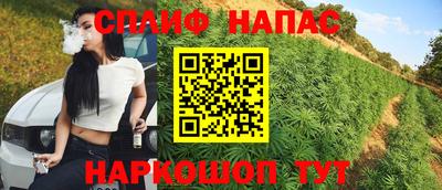 МДПВ Лесосибирск